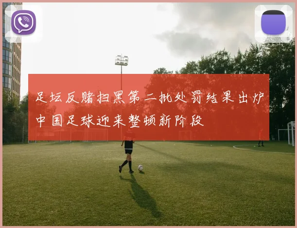 足坛反赌扫黑第二批处罚结果出炉中国足球迎来整顿新阶段