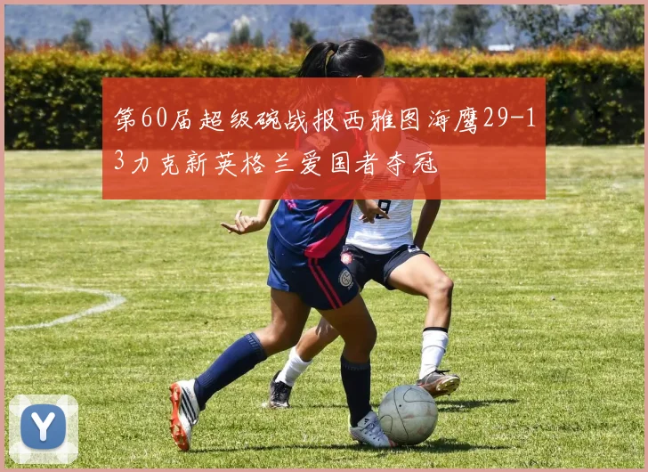 第60届超级碗战报西雅图海鹰29-13力克新英格兰爱国者夺冠